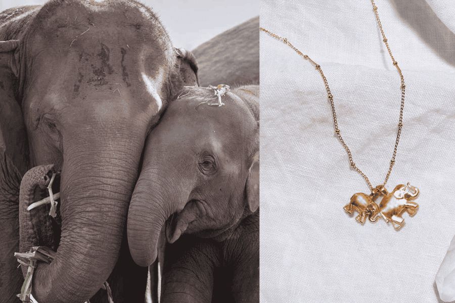 Discover the Spiritual Meaning of Elephant Jewelry: Luck, Protection, and Love 2 Discover the Spiritual Meaning of Elephant Jewelry: Luck, Protection, and Love