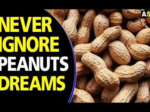 Unveiling the Dream Interpretation of Peanuts: What It Means for You 1 Unveiling the Dream Interpretation of Peanuts: What It Means for You