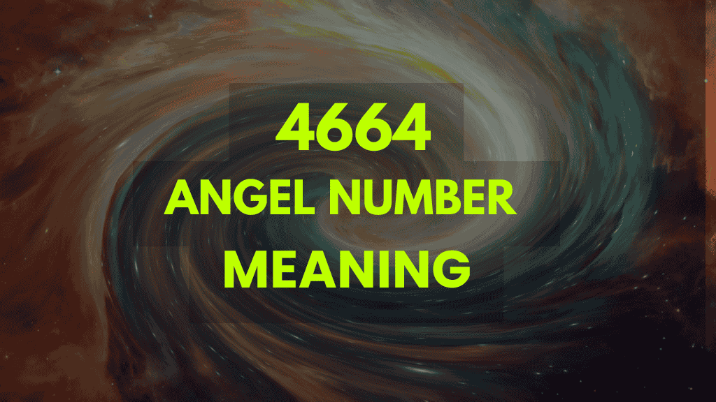 4664 angel number twin flame 1 4664 angel number twin flame