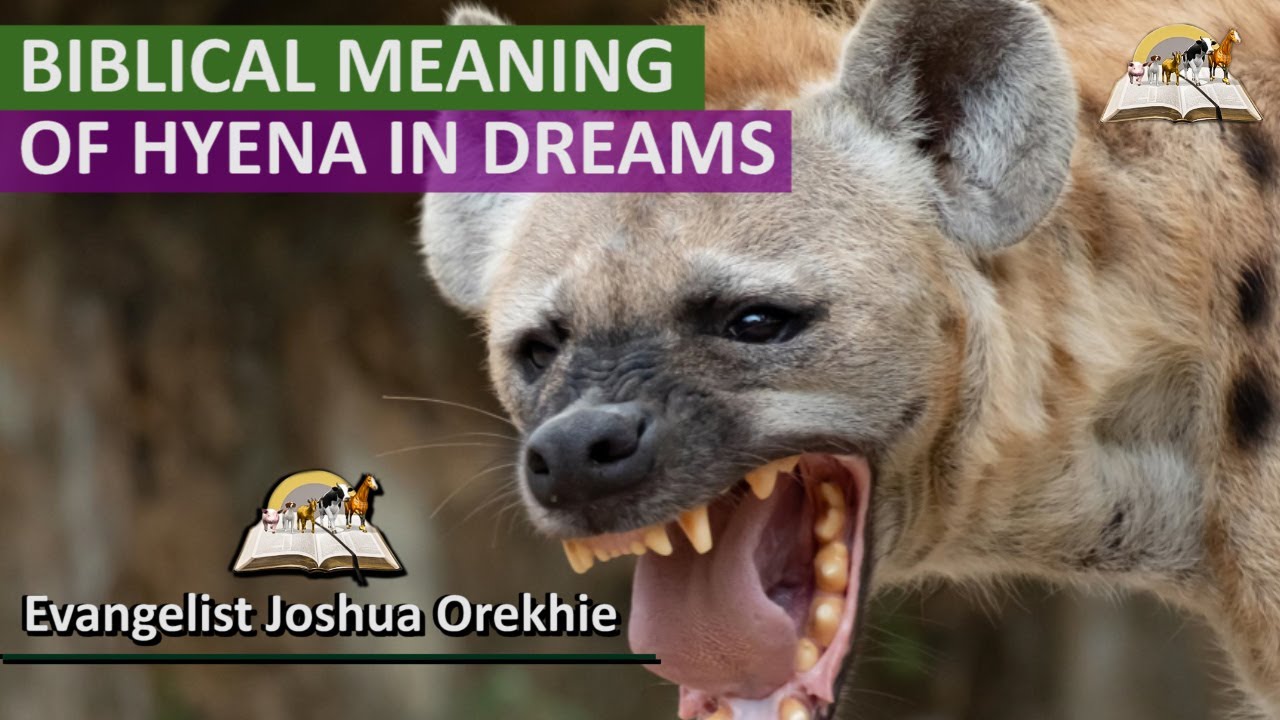 Hyena in Dreams: Spiritual Significance and Hidden Shadows Revealed 2 Hyena in Dreams: Spiritual Significance and Hidden Shadows Revealed
