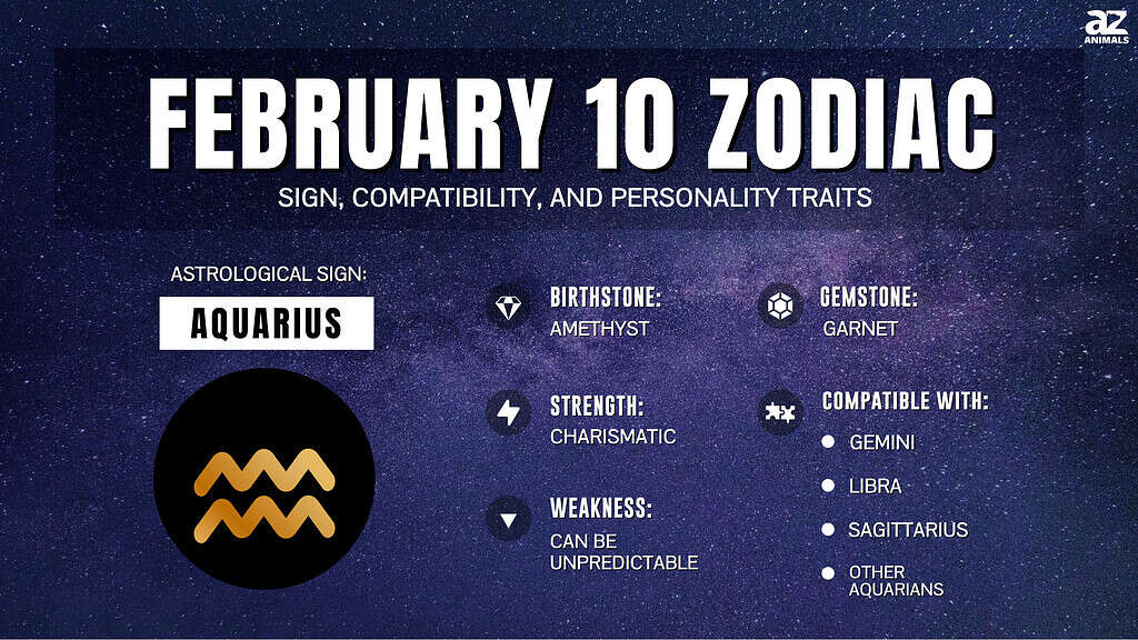All About February 10 Birthday Astrology: Aquarius Sign Insights 3 All About February 10 Birthday Astrology: Aquarius Sign Insights