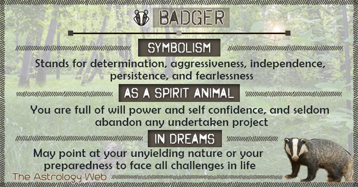 What Does Dreaming of a Badger Mean? Uncover Resilience and Determination 3 What Does Dreaming of a Badger Mean? Uncover Resilience and Determination