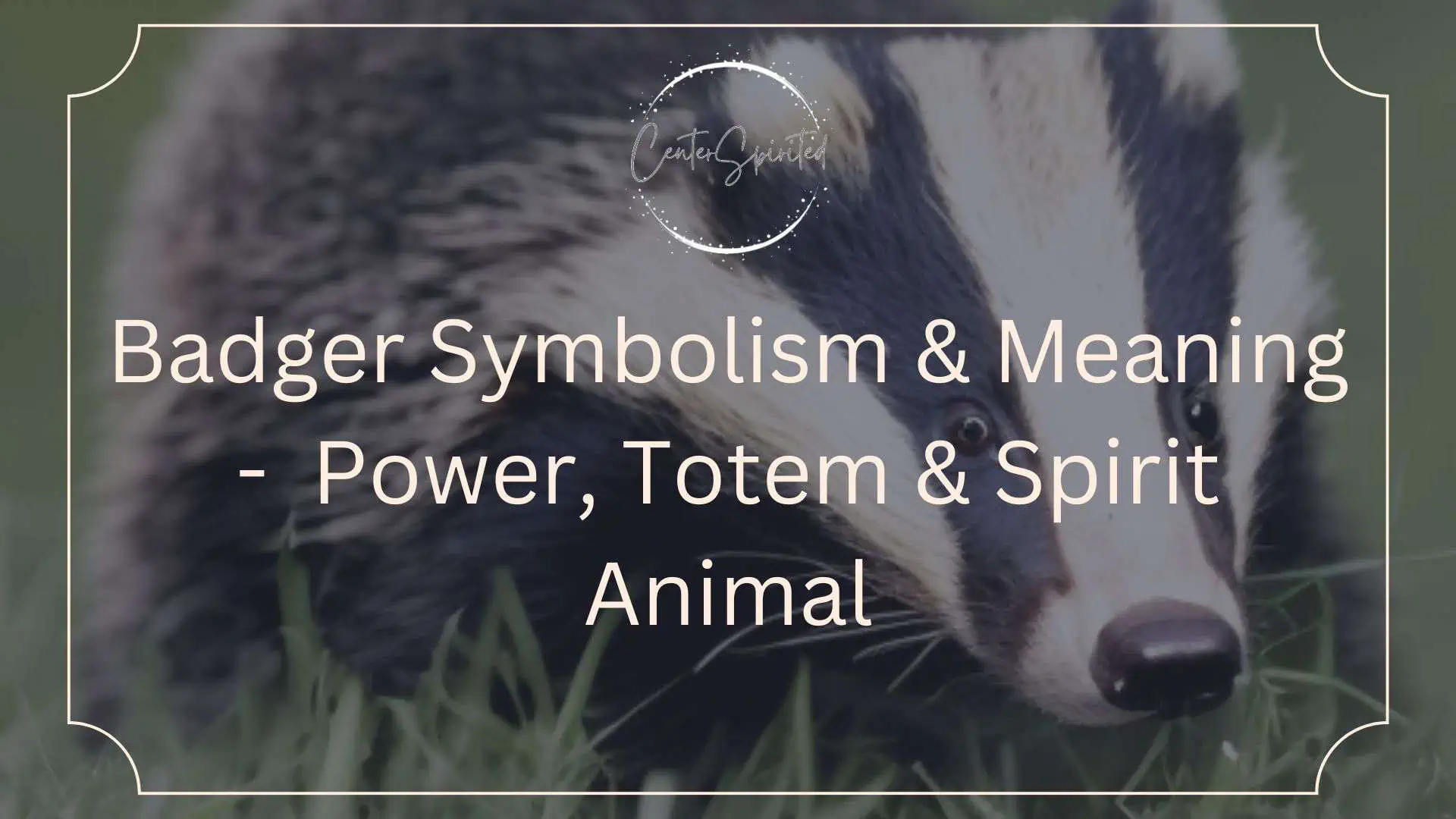 What Does Dreaming of a Badger Mean? Uncover Resilience and Determination 4 What Does Dreaming of a Badger Mean? Uncover Resilience and Determination