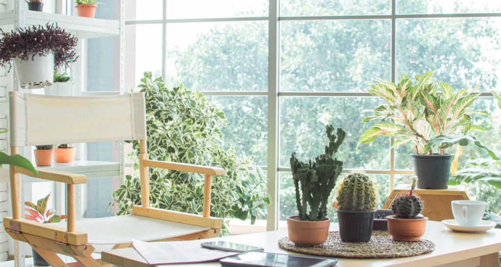Feng Shui Cleaning Tips: Transform Your Space for Positive Energy 2 Feng Shui Cleaning Tips: Transform Your Space for Positive Energy