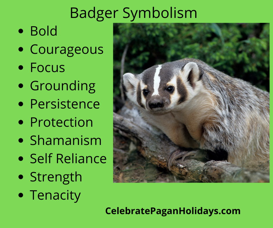 What Does Dreaming of a Badger Mean? Uncover Resilience and Determination 2 What Does Dreaming of a Badger Mean? Uncover Resilience and Determination