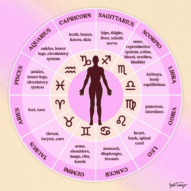 How Astrology Signs Shape Their Unique Approaches to Fitness 4 How Astrology Signs Shape Their Unique Approaches to Fitness