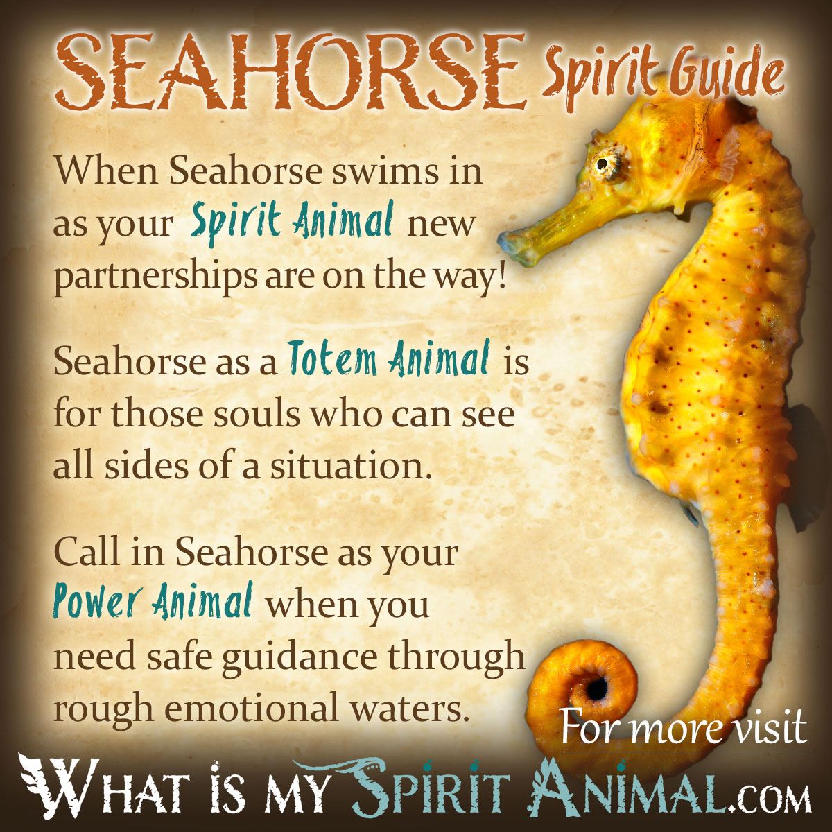 Chinese Zodiac Seahorse: Symbolism, Traits, and Meaning Explained 1 Chinese Zodiac Seahorse: Symbolism, Traits, and Meaning Explained