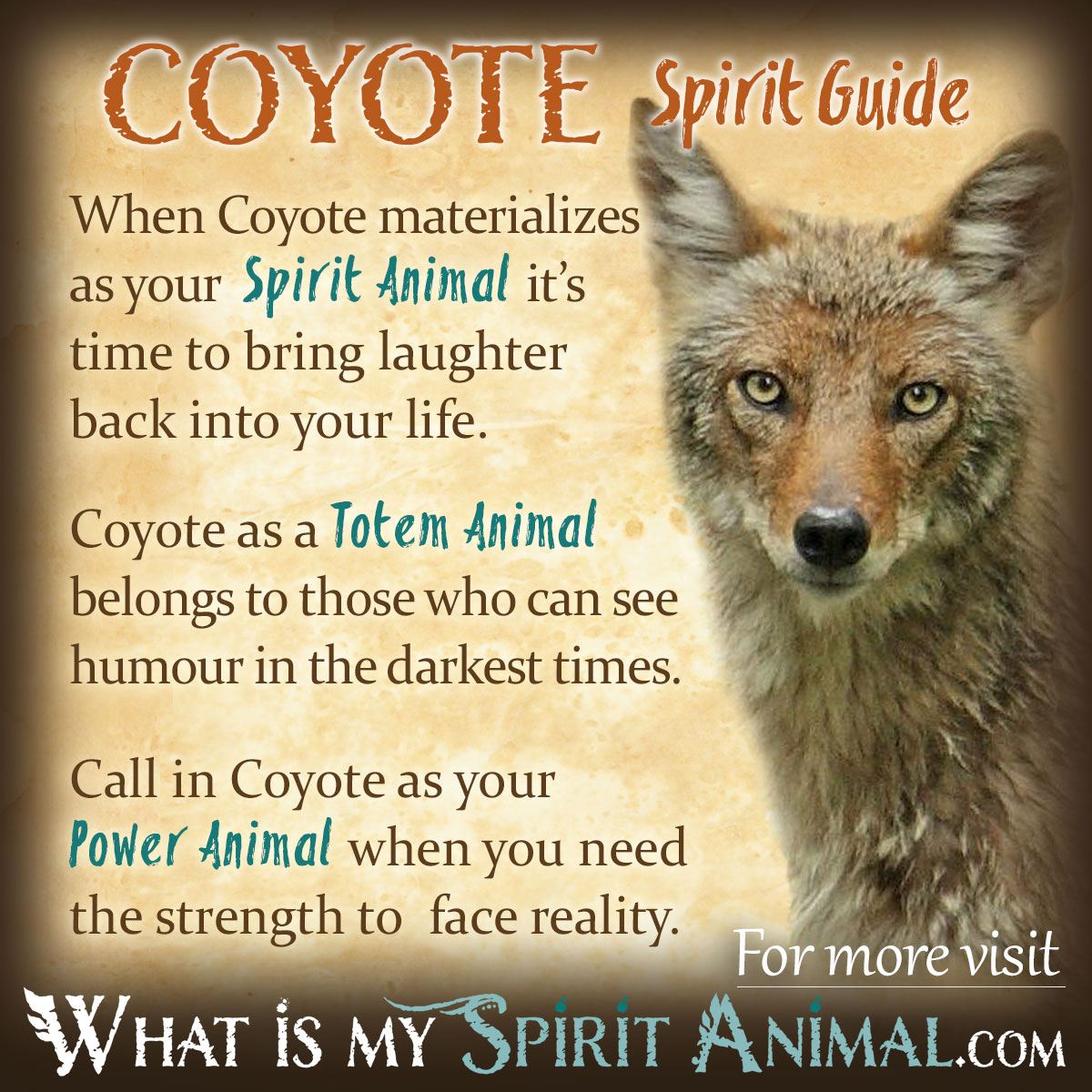 Coyote in Dream Meaning: Uncover Hidden Messages & Spiritual Insights 3 Coyote in Dream Meaning: Uncover Hidden Messages & Spiritual Insights
