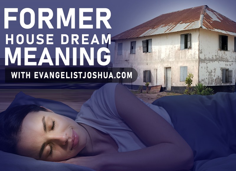 Dreaming of Seeing Yourself in Your Former House: What Does It Mean? 1 Dreaming of Seeing Yourself in Your Former House: What Does It Mean?