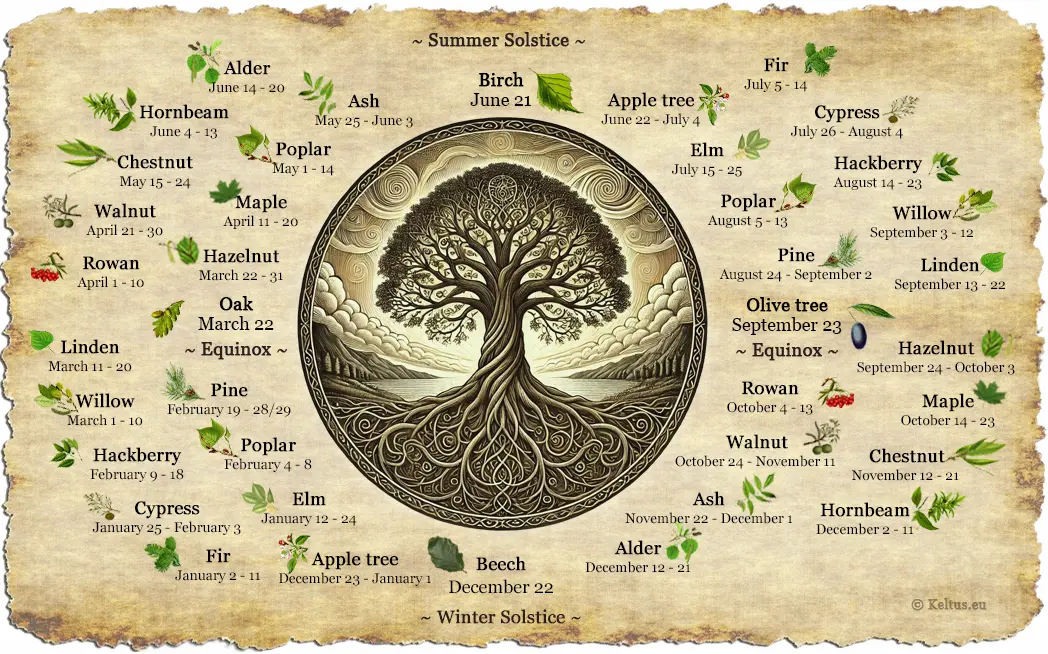 Uncover Your Celtic Horoscope: Free Celtic Astrology Calculator for Your Tree Sign 2 Uncover Your Celtic Horoscope: Free Celtic Astrology Calculator for Your Tree Sign