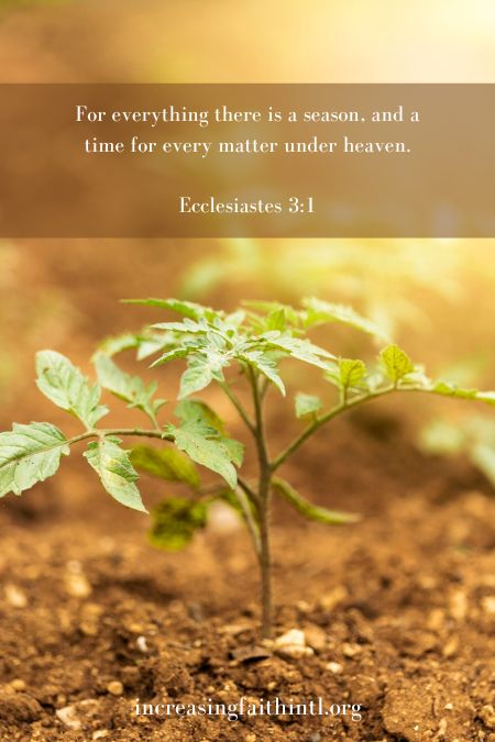 meaning of number 29 in the bible 4 meaning of number 29 in the bible