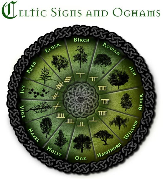 Uncover Your Celtic Horoscope: Free Celtic Astrology Calculator for Your Tree Sign 1 Uncover Your Celtic Horoscope: Free Celtic Astrology Calculator for Your Tree Sign