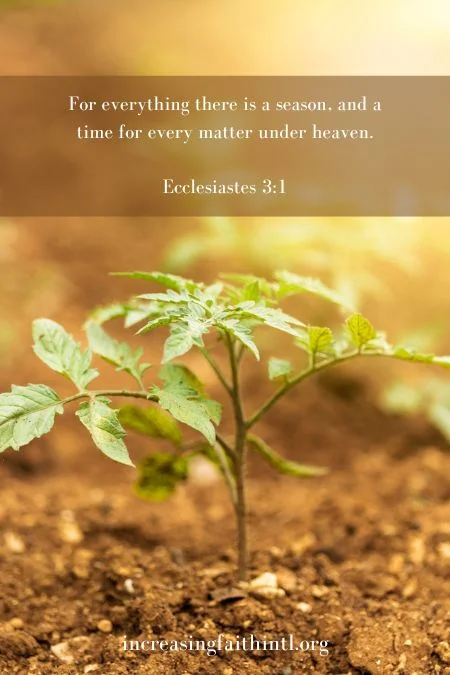 number 29 biblical meaning 3 number 29 biblical meaning