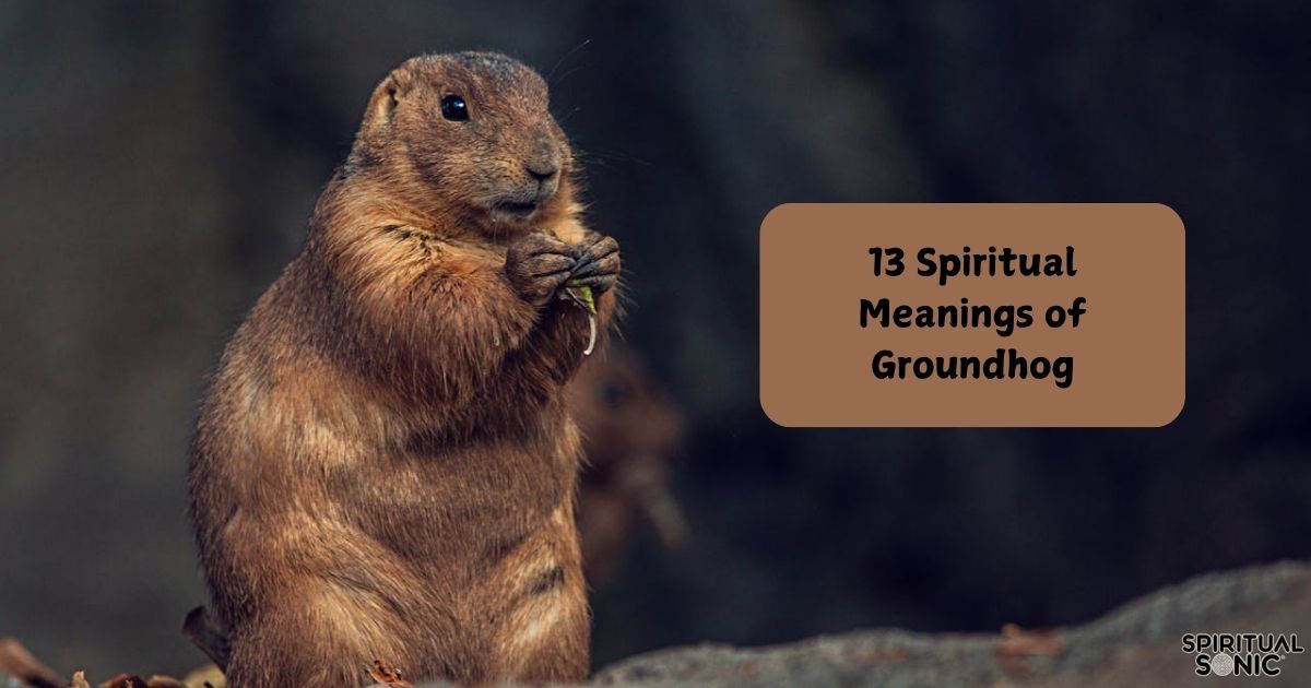 Groundhog Dream Interpretation: Spiritual Significance and the Cycle of Change 2 Groundhog Dream Interpretation: Spiritual Significance and the Cycle of Change