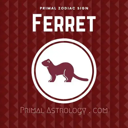 Leo Monkey Primal Astrology: Understanding the Ferrets Intelligent Charm 1 Leo Monkey Primal Astrology: Understanding the Ferrets Intelligent Charm
