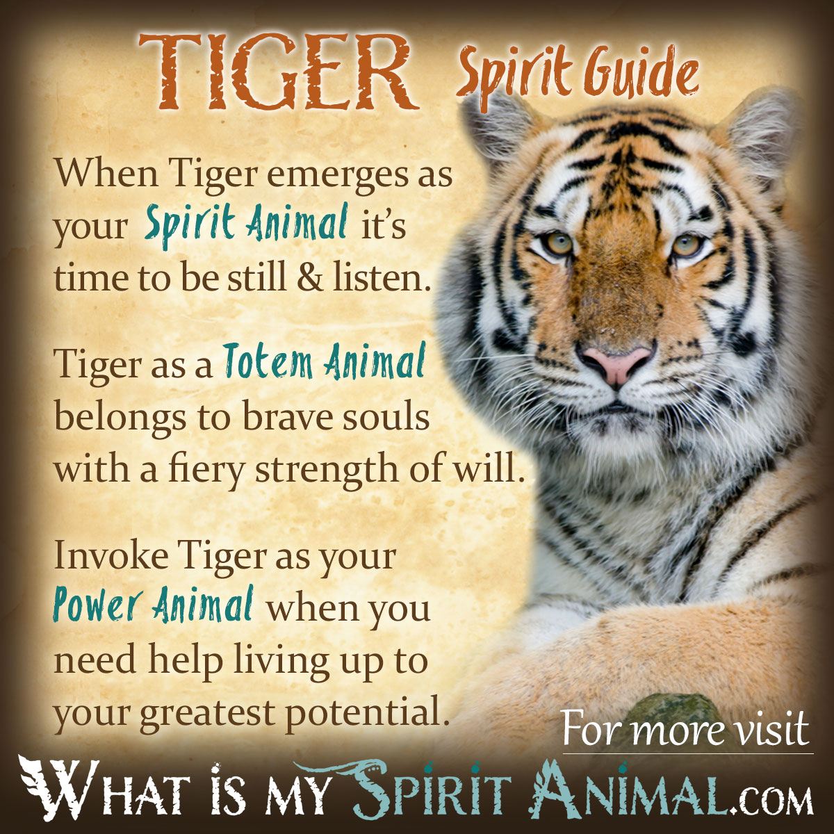 What Does Dreaming of a White Tiger Mean? Symbolism and Spiritual Interpretations 1 What Does Dreaming of a White Tiger Mean? Symbolism and Spiritual Interpretations