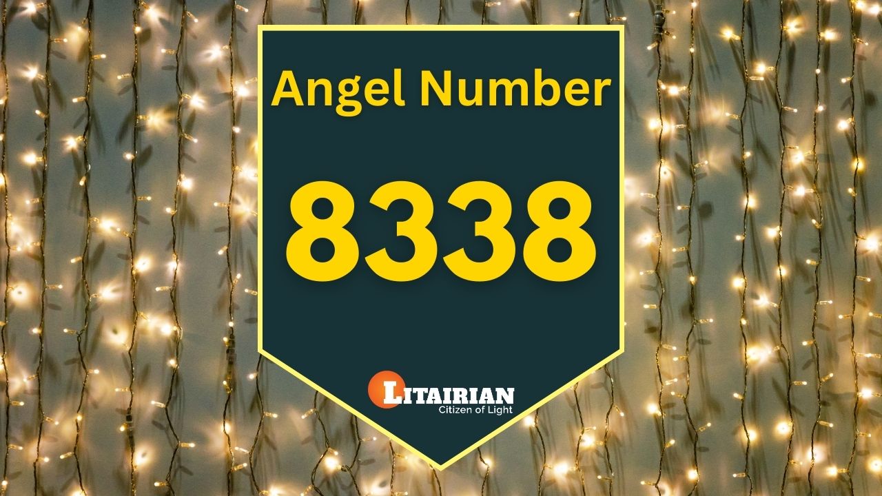8338 angel number twin flame 3 8338 angel number twin flame