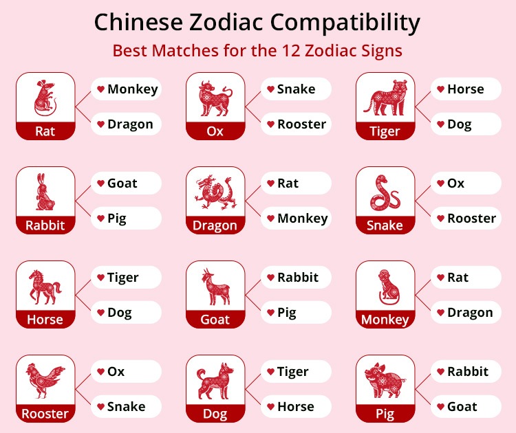 Chinese Zodiac: Tiger vs. Snake - Compatibility Analysis 3 Chinese Zodiac: Tiger vs. Snake - Compatibility Analysis