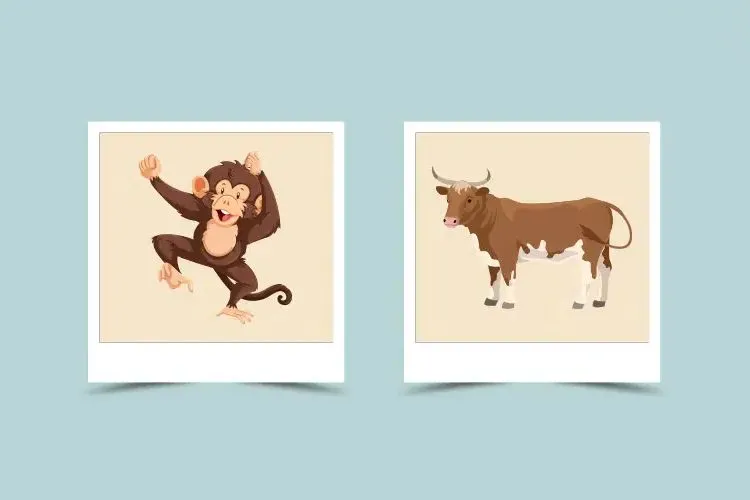 Monkey and Ox Compatibility: Strengths, Challenges, and Relationship Insights 3 Monkey and Ox Compatibility: Strengths, Challenges, and Relationship Insights