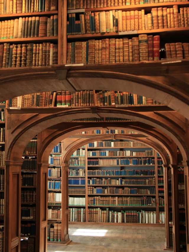 The Hidden Meaning of Library Dreams: Exploring Wisdom, Structure, and Ideas 2 The Hidden Meaning of Library Dreams: Exploring Wisdom, Structure, and Ideas