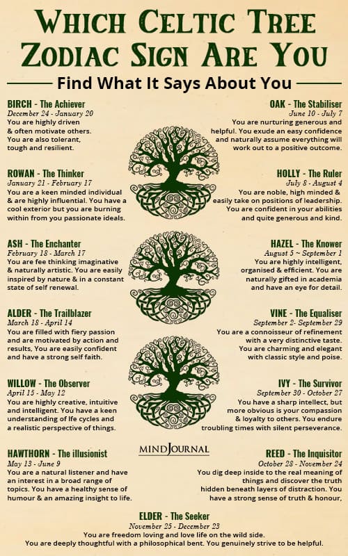 What Is Your Celtic Zodiac Tree? Explore the Meaning Behind Each Tree Sign 3 What Is Your Celtic Zodiac Tree? Explore the Meaning Behind Each Tree Sign