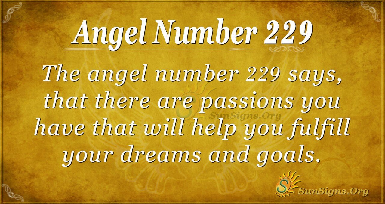 229 angel number twin flame 3 229 angel number twin flame