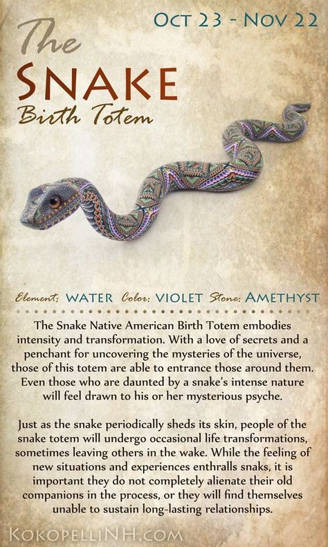 Exploring the Snake Native American Zodiac Sign: Personality and Spiritual Insights 4 Exploring the Snake Native American Zodiac Sign: Personality and Spiritual Insights