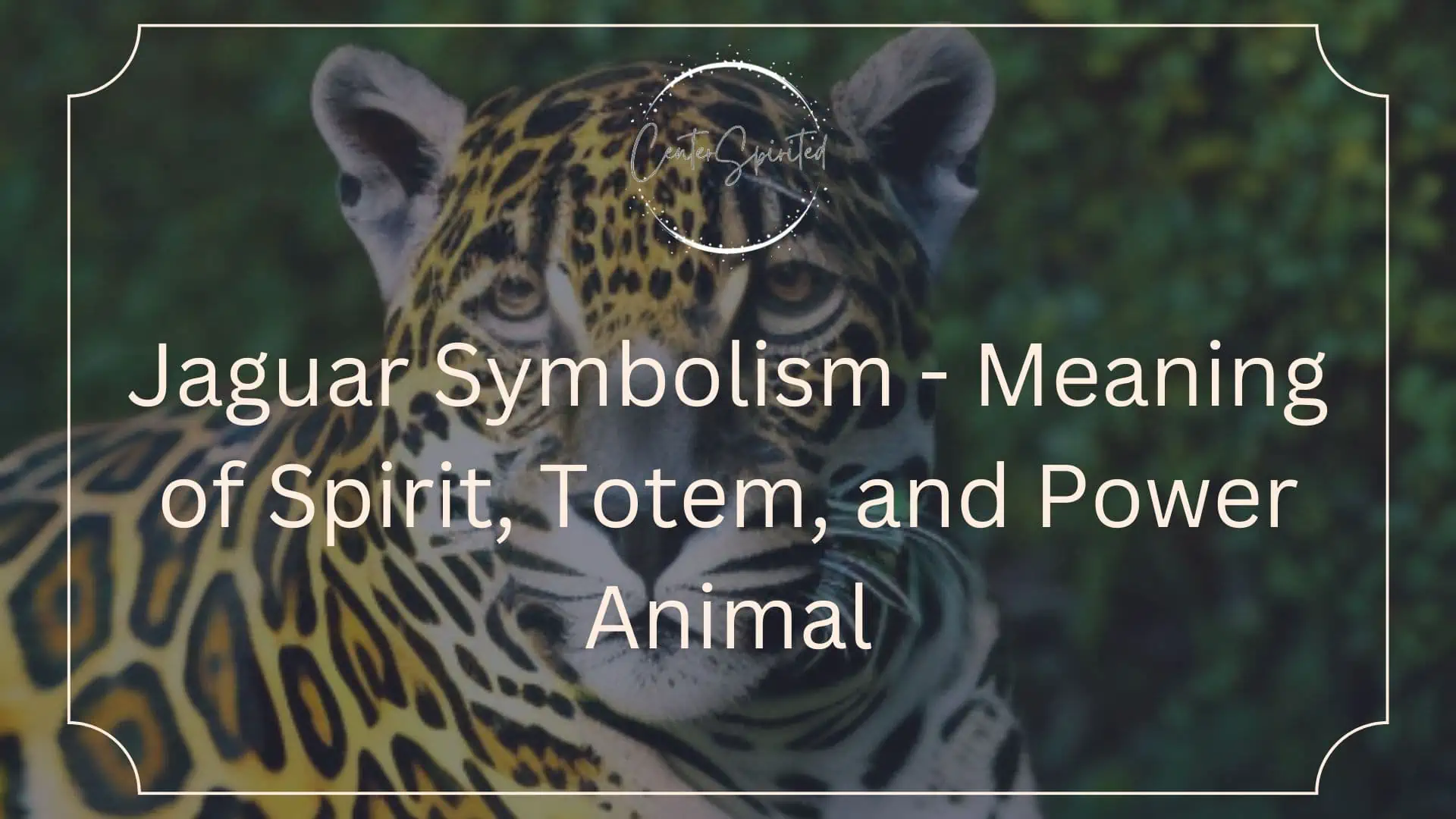 Jaguar Dream Meaning: Unlocking the Symbolism of Power and Agility 2 Jaguar Dream Meaning: Unlocking the Symbolism of Power and Agility