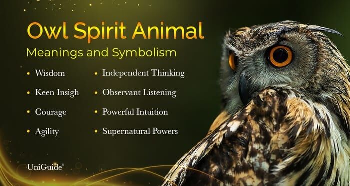 The Spiritual Significance of 3 Owls in Your Dream: What It Could Be Telling You 2 The Spiritual Significance of 3 Owls in Your Dream: What It Could Be Telling You