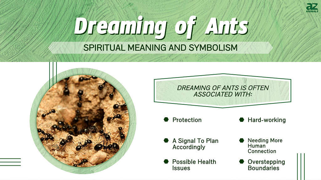 Dream Interpretation: Killing Ants and Its Spiritual Meaning 2 Dream Interpretation: Killing Ants and Its Spiritual Meaning