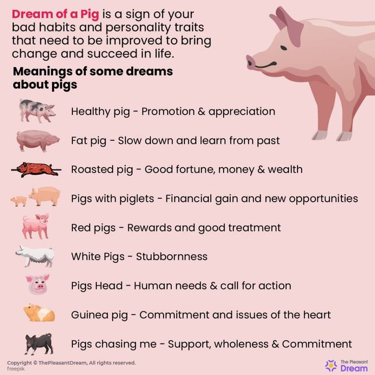 Pig Dream Meaning: What Your Dream About Pigs Reveals About Wealth and Fortune 1 Pig Dream Meaning: What Your Dream About Pigs Reveals About Wealth and Fortune
