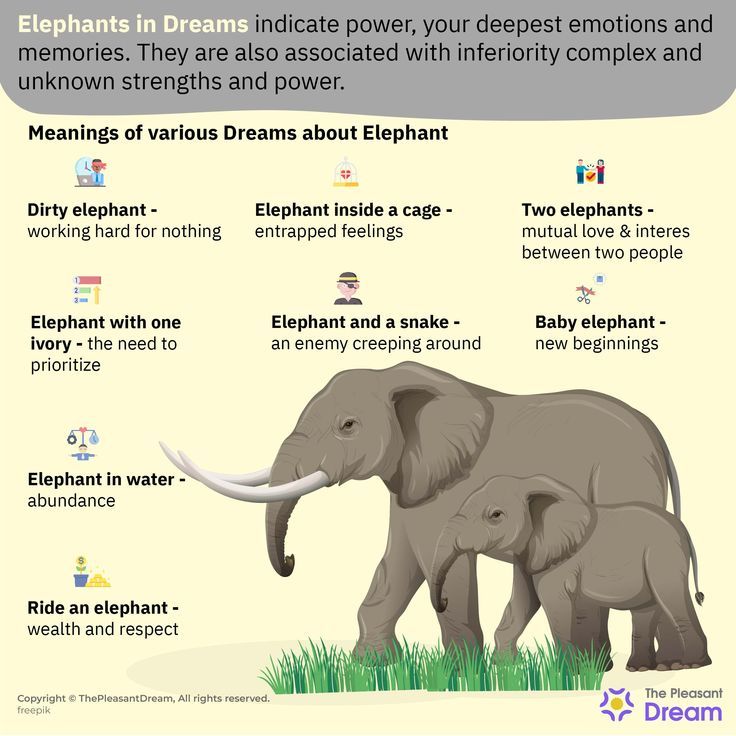 Baby Elephant Dream Meaning: What Does Seeing a Baby Elephant in Your Dream Symbolize? 2 Baby Elephant Dream Meaning: What Does Seeing a Baby Elephant in Your Dream Symbolize?