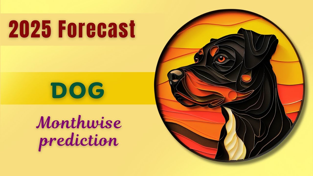 2025 Dog Zodiac Forecast: Key Predictions for Your Year Ahead 1 2025 Dog Zodiac Forecast: Key Predictions for Your Year Ahead