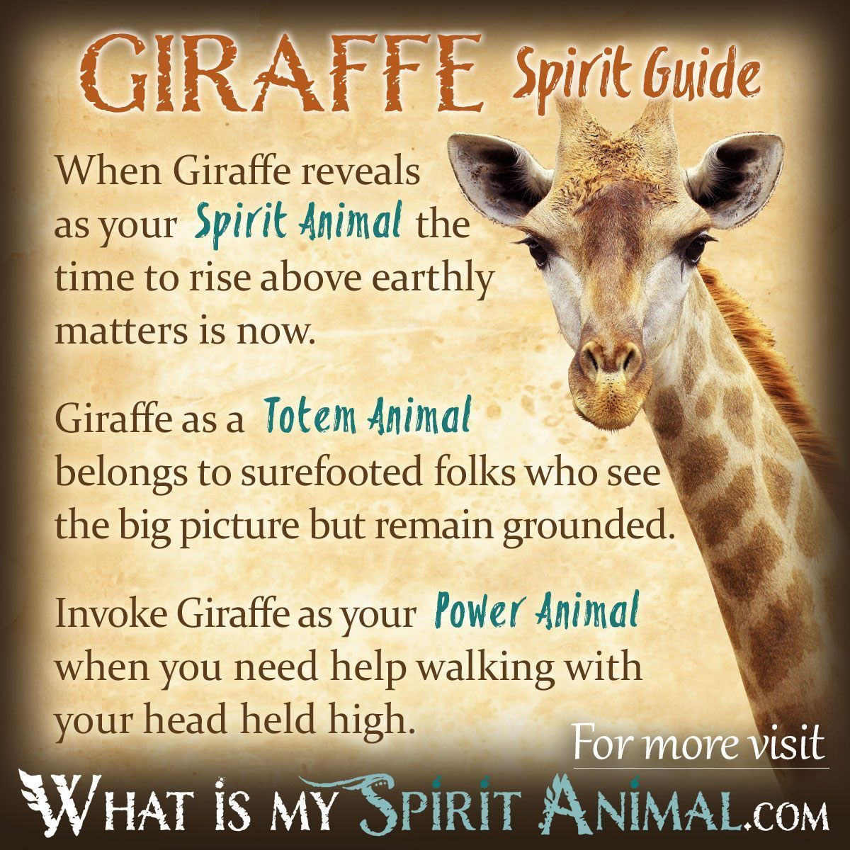 giraffe dream meaning 3 giraffe dream meaning