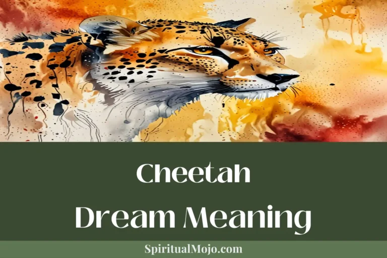Cheetah Dream Meaning: Unlock the Symbolism of Speed and Power in Your Dreams 1 Cheetah Dream Meaning: Unlock the Symbolism of Speed and Power in Your Dreams