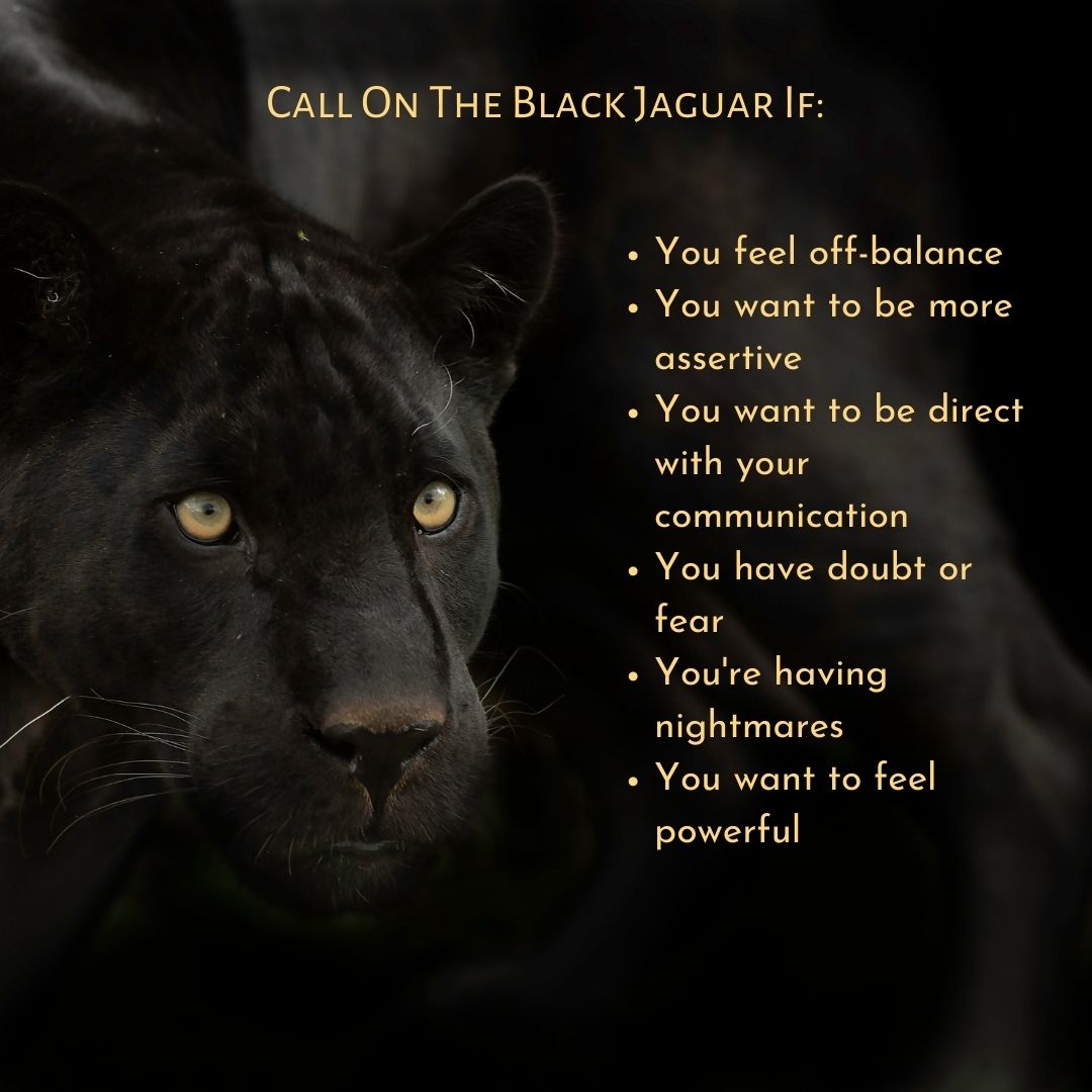 Jaguar Dream Meaning: Unlocking the Symbolism of Power and Agility 3 Jaguar Dream Meaning: Unlocking the Symbolism of Power and Agility