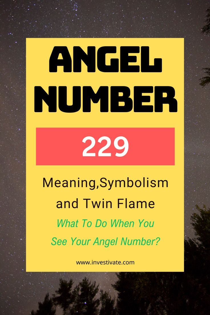 229 angel number twin flame 1 229 angel number twin flame