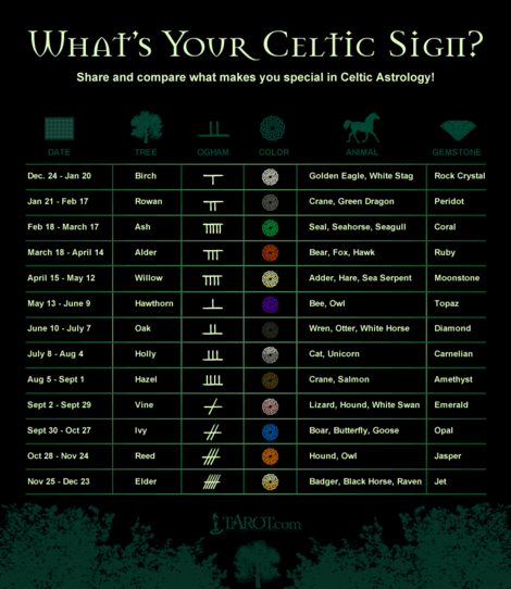 What Is Your Celtic Zodiac Tree? Explore the Meaning Behind Each Tree Sign 1 What Is Your Celtic Zodiac Tree? Explore the Meaning Behind Each Tree Sign