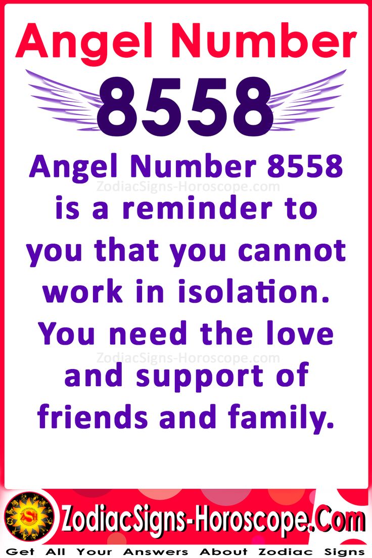 8558 angel number twin flame 2 8558 angel number twin flame