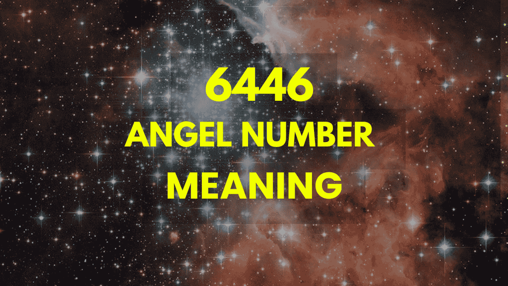 6446 angel number twin flame 1 6446 angel number twin flame