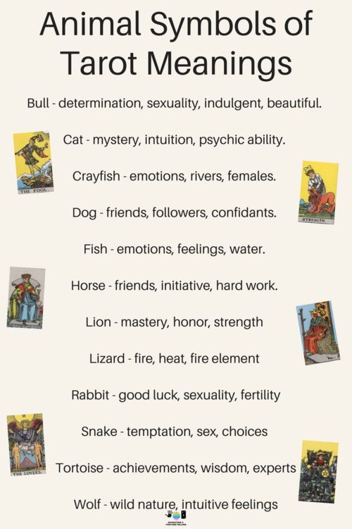 Animal Tarot Cards Meanings: Unlocking the Wisdom of Animal Symbolism in Tarot 3 Animal Tarot Cards Meanings: Unlocking the Wisdom of Animal Symbolism in Tarot