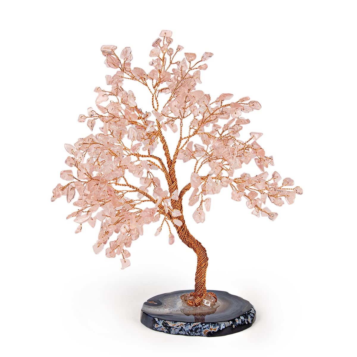 How to Use a Feng Shui Tree of Life for Health, Wealth, and Harmony 2 How to Use a Feng Shui Tree of Life for Health, Wealth, and Harmony