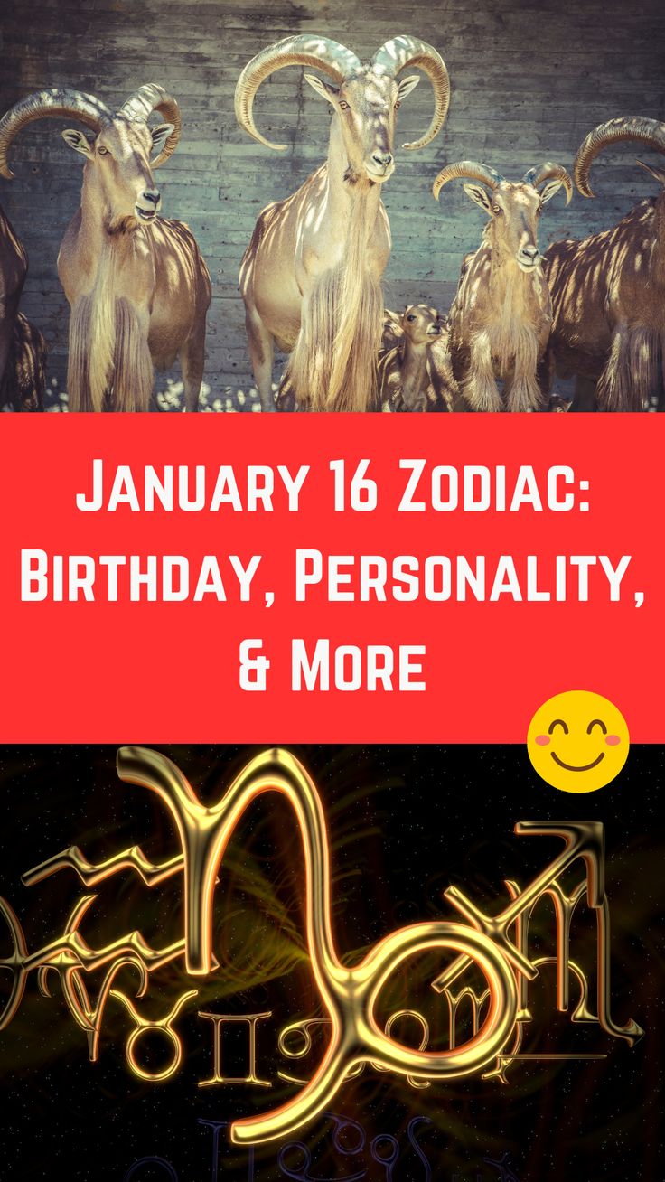 January 16 Zodiac Forecast: Capricorn Personality, Lucky Numbers & More 2 January 16 Zodiac Forecast: Capricorn Personality, Lucky Numbers & More