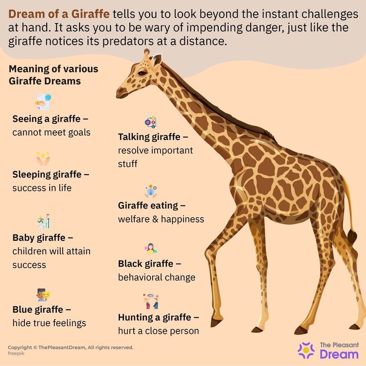 giraffe dream meaning 1 giraffe dream meaning