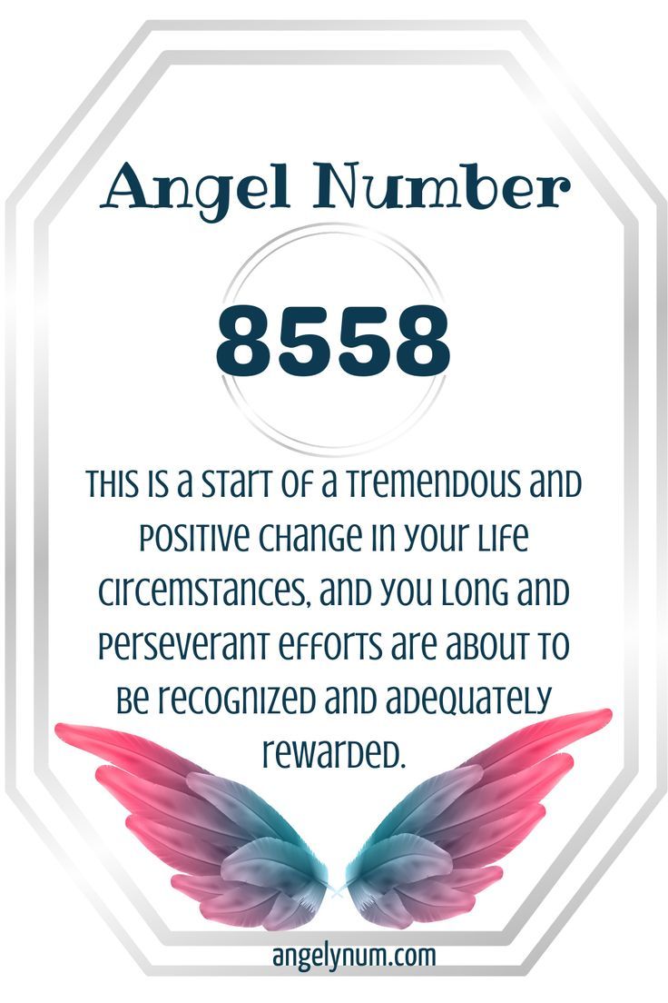 8558 angel number twin flame 1 8558 angel number twin flame