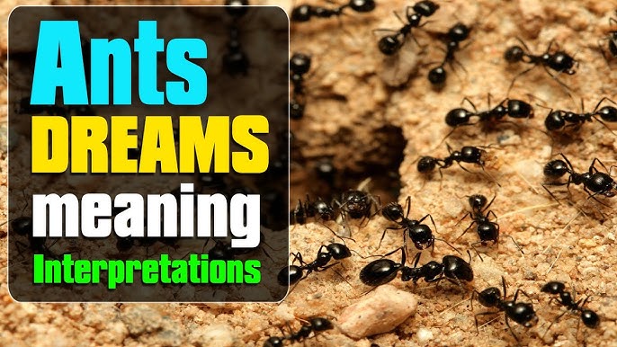 Dream Interpretation: Killing Ants and Its Spiritual Meaning 1 Dream Interpretation: Killing Ants and Its Spiritual Meaning