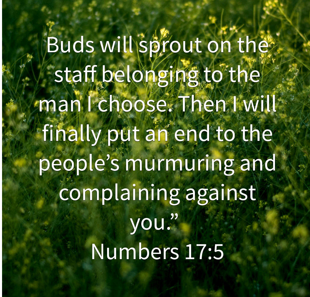 the significance of the number 17 in the bible 2 the significance of the number 17 in the bible