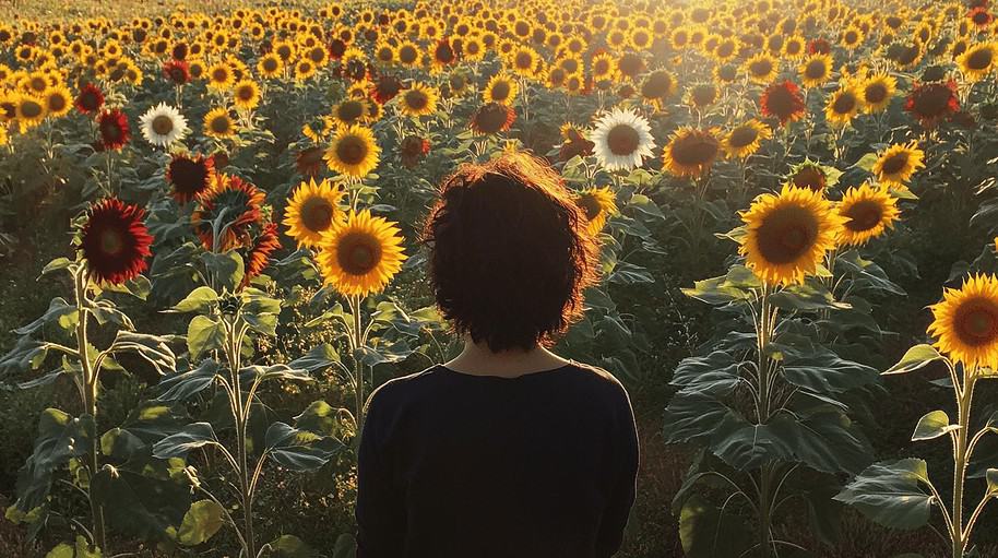 What Does Dreaming of Sunflowers Mean? Symbolism, Hope, and Personal Growth 2 What Does Dreaming of Sunflowers Mean? Symbolism, Hope, and Personal Growth