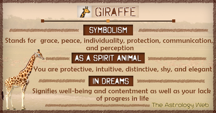 giraffe dream meaning 2 giraffe dream meaning
