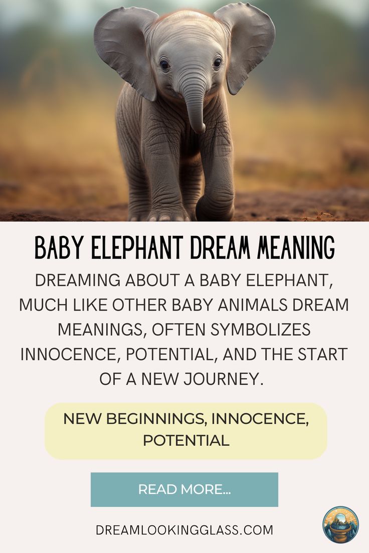 Baby Elephant Dream Meaning: What Does Seeing a Baby Elephant in Your Dream Symbolize? 1 Baby Elephant Dream Meaning: What Does Seeing a Baby Elephant in Your Dream Symbolize?